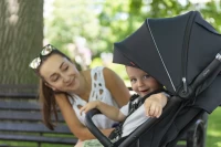 Прогулочная коляска CARRELLO Delta Coffee Black Арт 5517