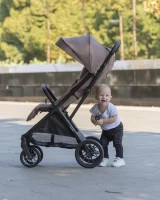 Прогулочная коляска CARRELLO Nero Dove Grey Арт 5514