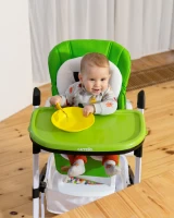 Стульчик для кормления CARRELLO Apricus Pale Terracota