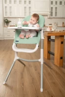 Стульчик для кормления CARRELLO Iris Ash Green