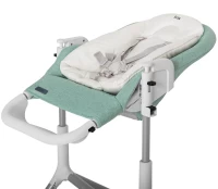 Стульчик для кормления CARRELLO Iris Ash Green