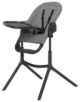 Стульчик для кормления CARRELLO Iris Ash Green