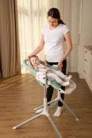 Стульчик для кормления CARRELLO Iris Ash Green