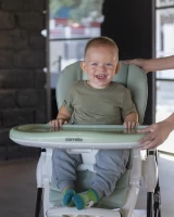 Стульчик для кормления CARRELLO Stella Aspen Green