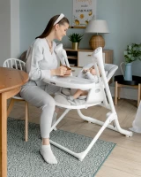 Стульчик для кормления CARRELLO Triumph Cloud Grey
