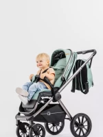 Коляска 2 в 1 RANT Falcon Black