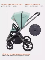 Коляска 2 в 1 RANT Falcon Black