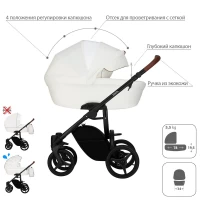 Коляска 2 в 1 Bebetto Luca PRO Арт 36
