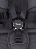 Прогулочная коляска Rant Flex Pro 2023 GRAPHITE