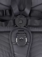 Прогулочная коляска Rant Flex Pro 2023 GRAPHITE