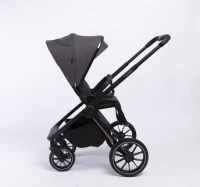 Коляска 2 В 1 Peppy Monaco Brilliant black
