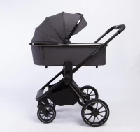 Коляска 2 В 1 Peppy Monaco Brilliant black