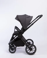Коляска 2 В 1 Peppy Monaco Brilliant black