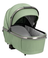 Коляска 2 В 1 CARRELLO Omega Absolut Black