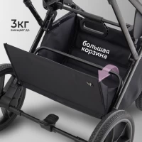 Коляска 2 в 1 SBL Massimo Beige