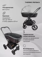 Коляска 2 в 1 RANT TEO Black Chrome Black