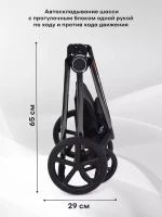 Коляска 2 в 1 RANT TEO Black Chrome Black