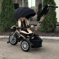 Велосипед трехколесный Dalux 3366 Черный