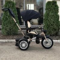 Велосипед трехколесный Dalux 3366 Черный