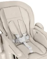 Стульчик для кормления CARRELLO Lotus Alba Grey Арт 12101