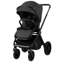 Коляска 3 в 1 Indigo STING черный