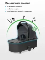 Коляска 3 в 1 Farfello Sola Trio Comfort черный оникс