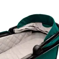 Коляска 3 в 1 Sweet Baby Massimo SBL Green