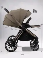 Коляска 2 в 1 AmaroBaby Genius Черный