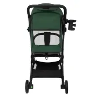 Прогулочная коляска Pituso Pera Army green/рама carbon