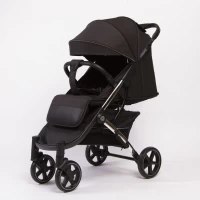 var-Прогулочная коляска Peppy Polo 2.0 хром рама silver black