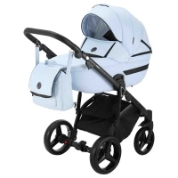var-Коляска 2 в 1 Adamex Cortina CT-205