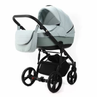 var-Коляска 2 в 1 Adamex LANTI LN-PS-25