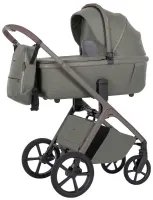 var-Коляска 2 В 1 Carrello Vector Artichoke Green Арт 6550