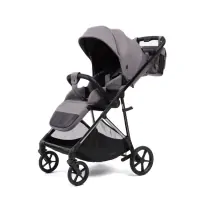 var-Прогулочная коляска Peppy Amici Grey рама Black Chrome
