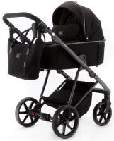 var-Коляска 2 в 1 Adamex Delta NATURA DN-11-CARBON