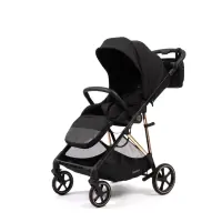 var-Прогулочная коляска Peppy Amici Black рама Gold