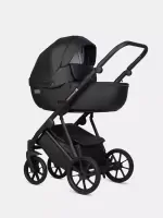var-Коляска 3 в 1 Riko Basic Montana X Ecco Black Арт 12