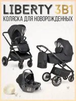 var-Коляска 3 в 1 для новорожденных Farfello Liberty черный