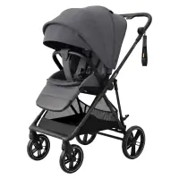 var-Прогулочная коляска CARRELLO Extra Chrome Grey Арт 5532