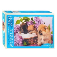 2297-pazly-260-milye-shhenki