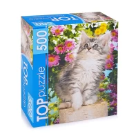 2325-pazly-500-toppuzzle-kotenok-v-cvetax