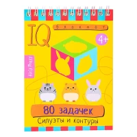 3181-umnyi-bloknot-80-zadacek-siluety-i-kontury-4