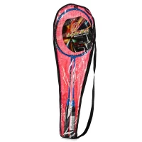 363-badminton-v-cexle