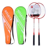 364-badminton-v-cexle