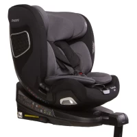 3674-avtokreslo-peppy-genius-i-size-0-36-kg-iron