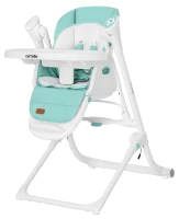 var-Стульчик для кормления CARRELLO Triumph Mint Green